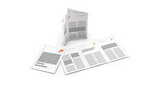 Site Corporativ